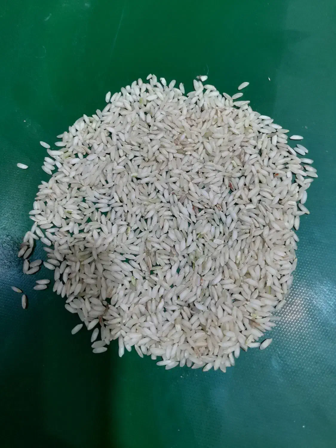 برنج عنبربو لوکس|خوردنی و آشامیدنی|شیراز, فرگاز|دیوار