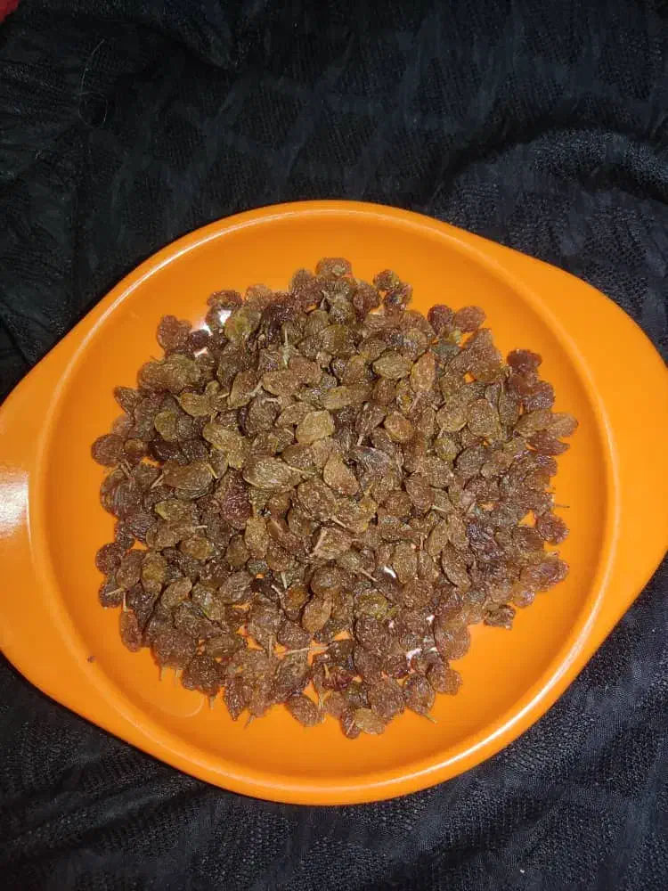 فروش|خوردنی و آشامیدنی|شیراز, بازار|دیوار