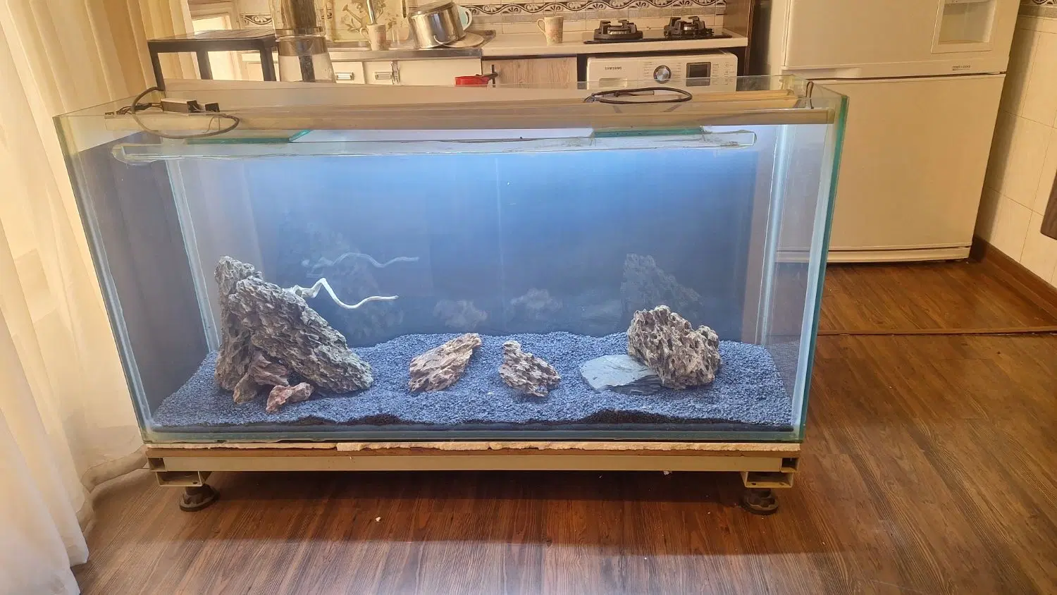 اکواریوم|ماهی|تهران, سنائی|دیوار