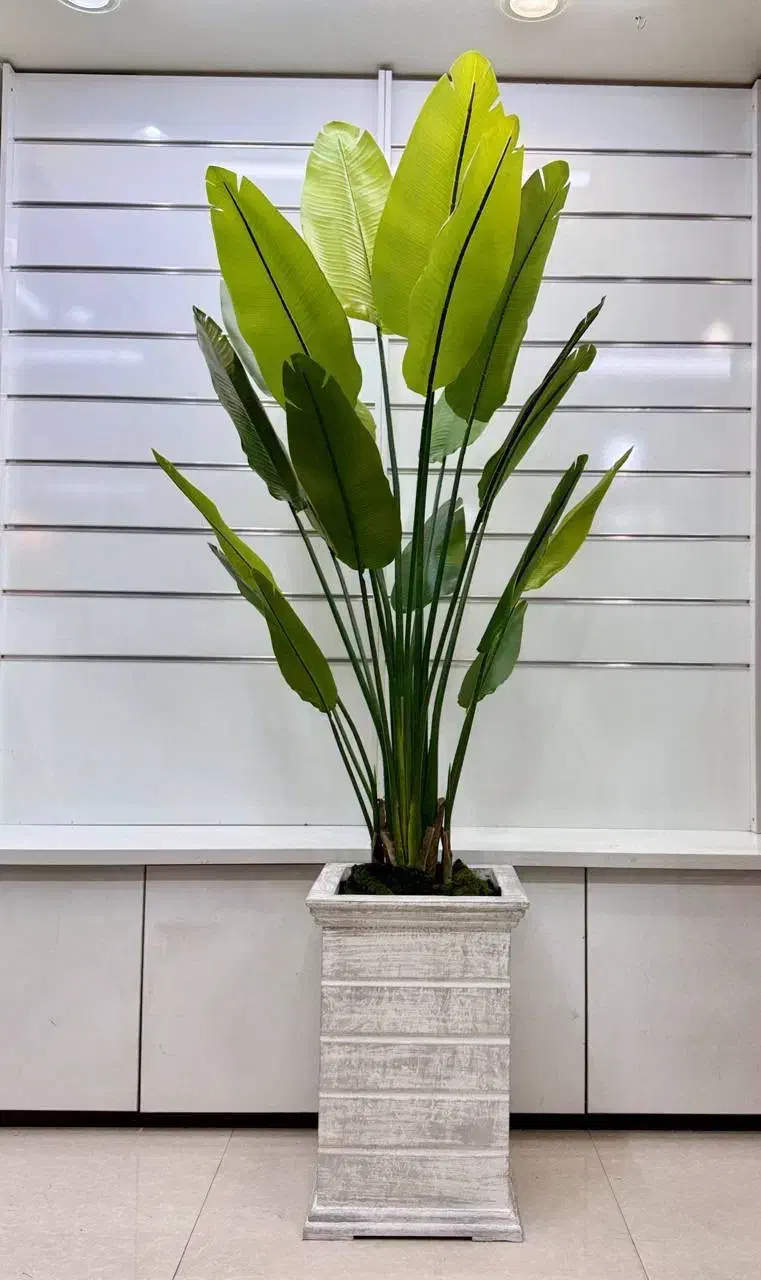 درختچه مصنوعی|گل مصنوعی|صفادشت, |دیوار