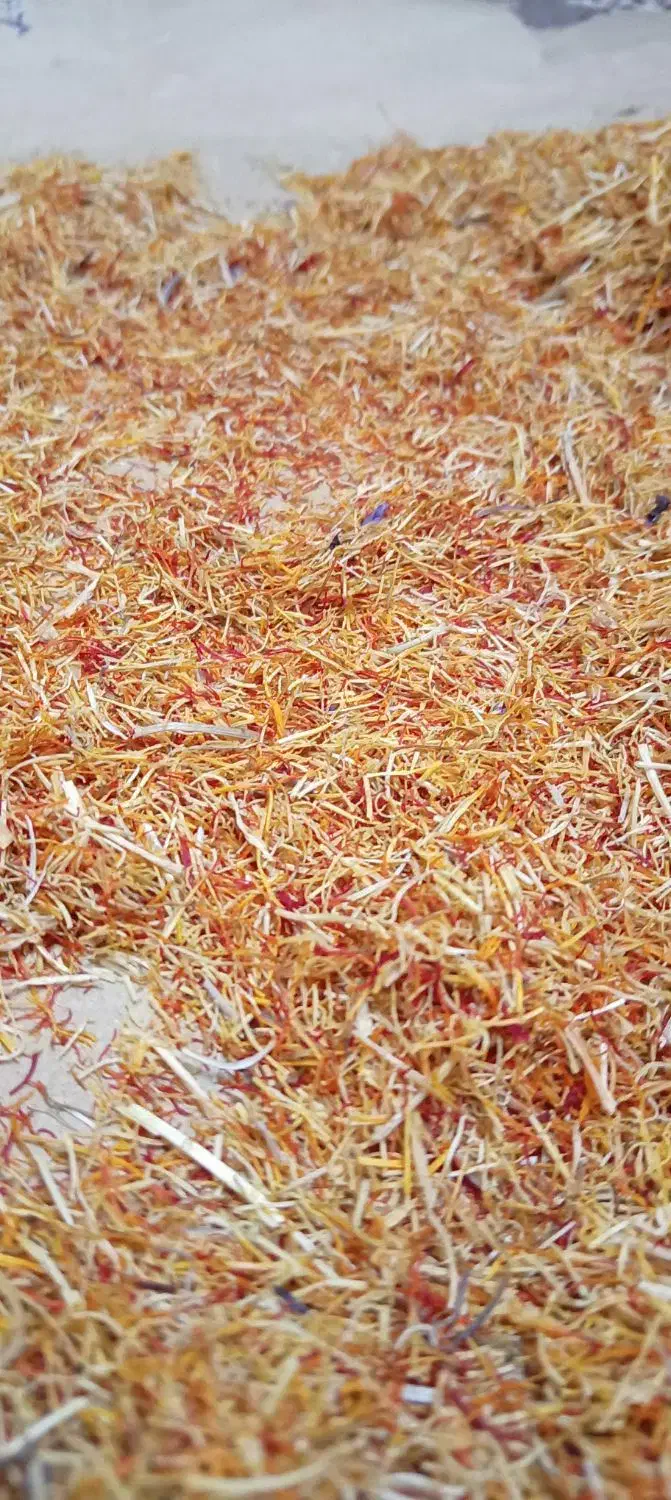 ریشه زعفران|خوردنی و آشامیدنی|تربتحیدریه, منصوریه|دیوار