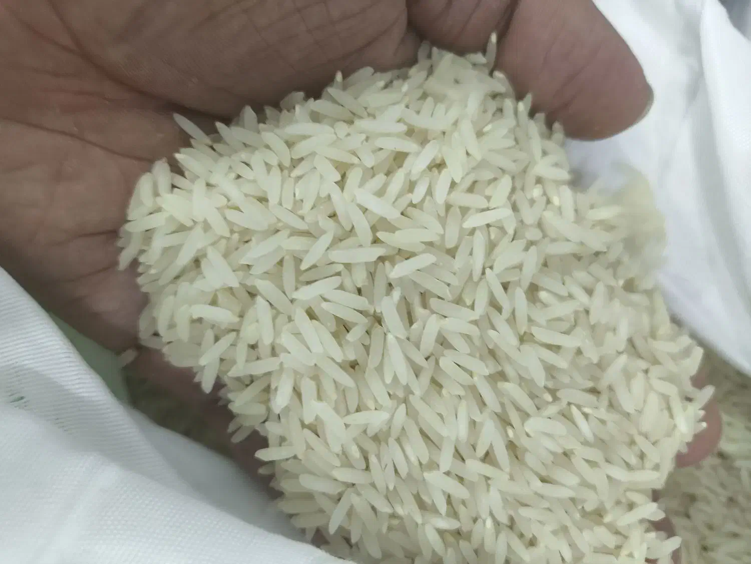 برنج چلوکبابی|خوردنی و آشامیدنی|تبریز, |دیوار