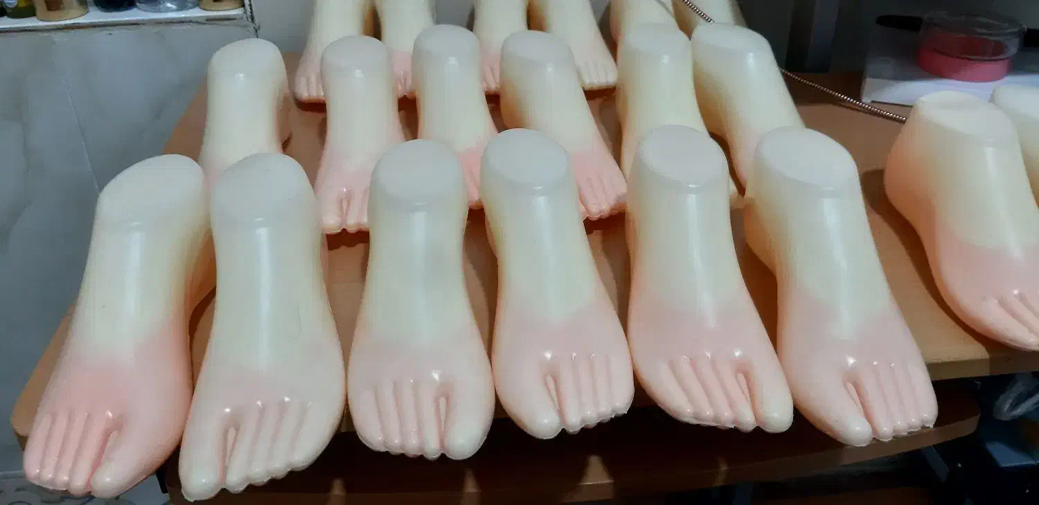 اسکلت پا|مجسمه، تندیس، ماکت|جوانرود, |دیوار