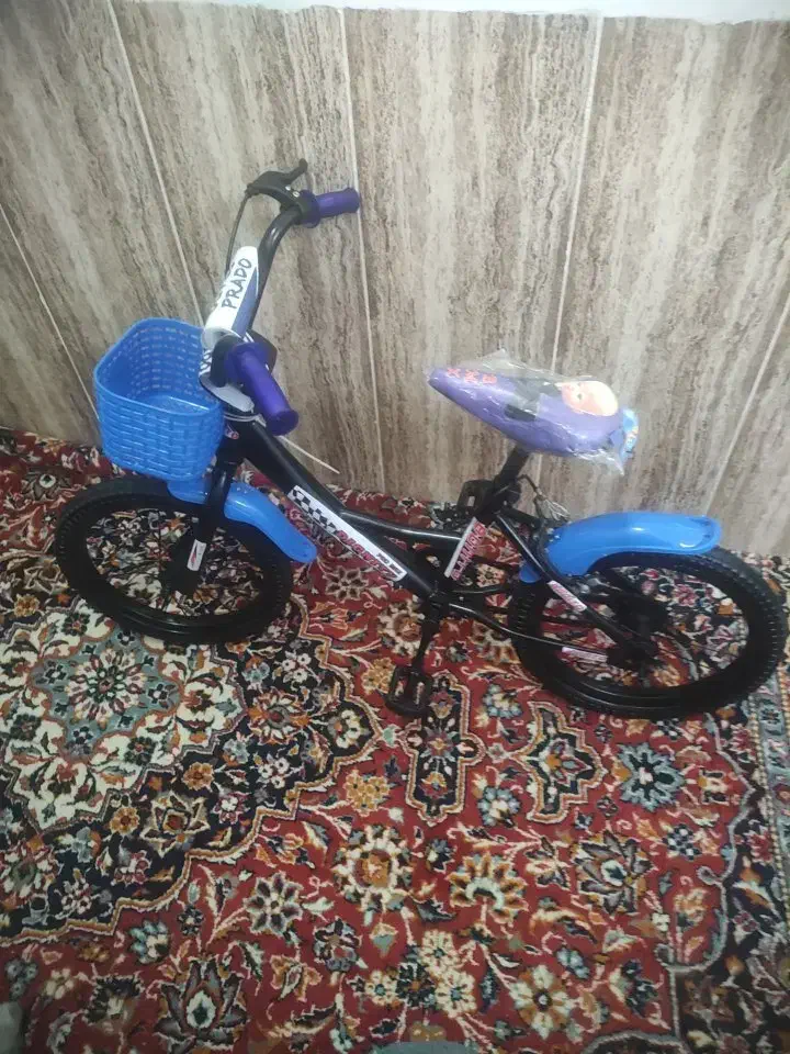 دوچرخه|دوچرخه، اسکیت، اسکوتر|تربت جام, میان جام|دیوار