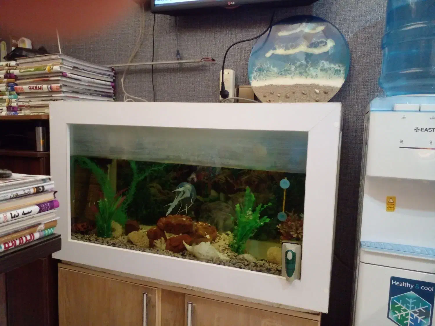 آکواریوم یک متری با وسایل و یک عدد ماهی اسکار|ماهی|رشت, شهریاران|دیوار