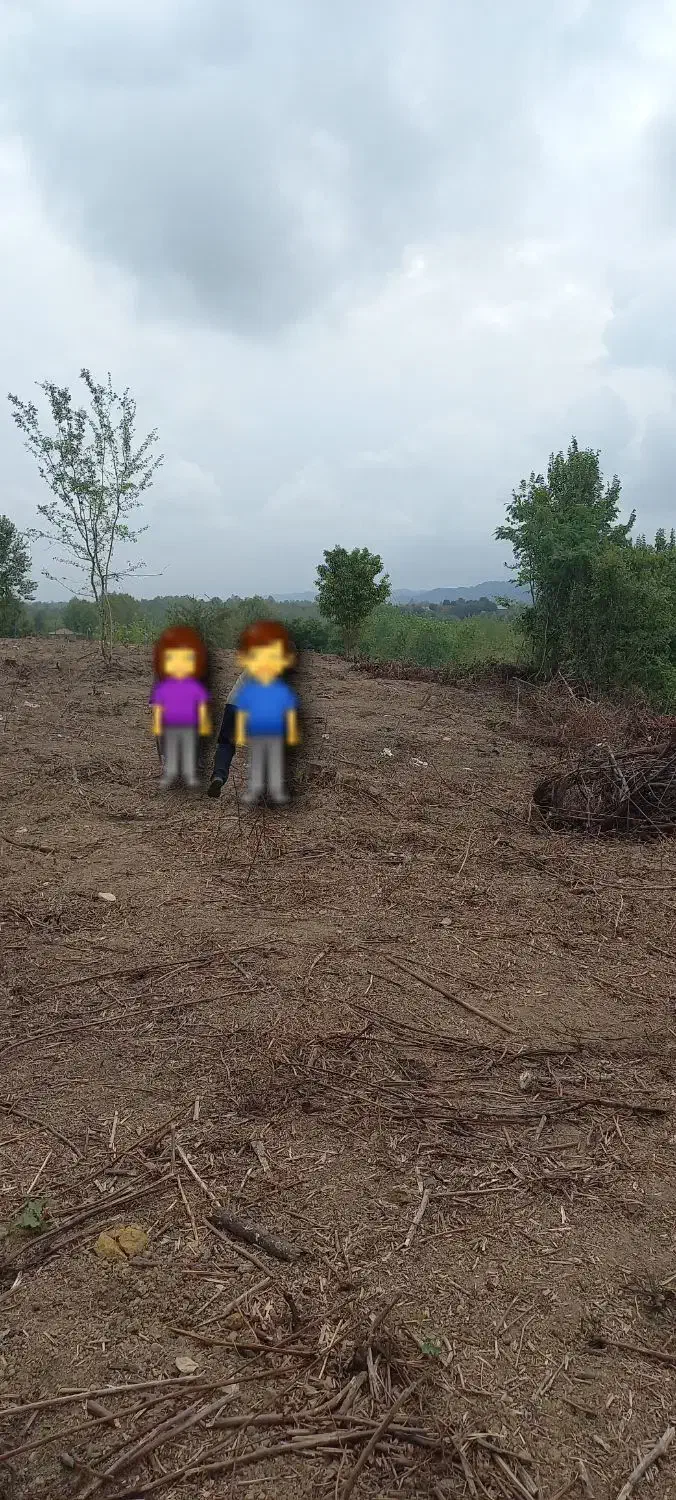 زمین باغی ویو ابدی|فروش زمین و ملک کلنگی|رشت, استقامت ۲|دیوار