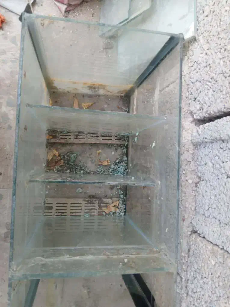 اکواریم بزرگ با پایه|ماهی|شبانکاره, |دیوار