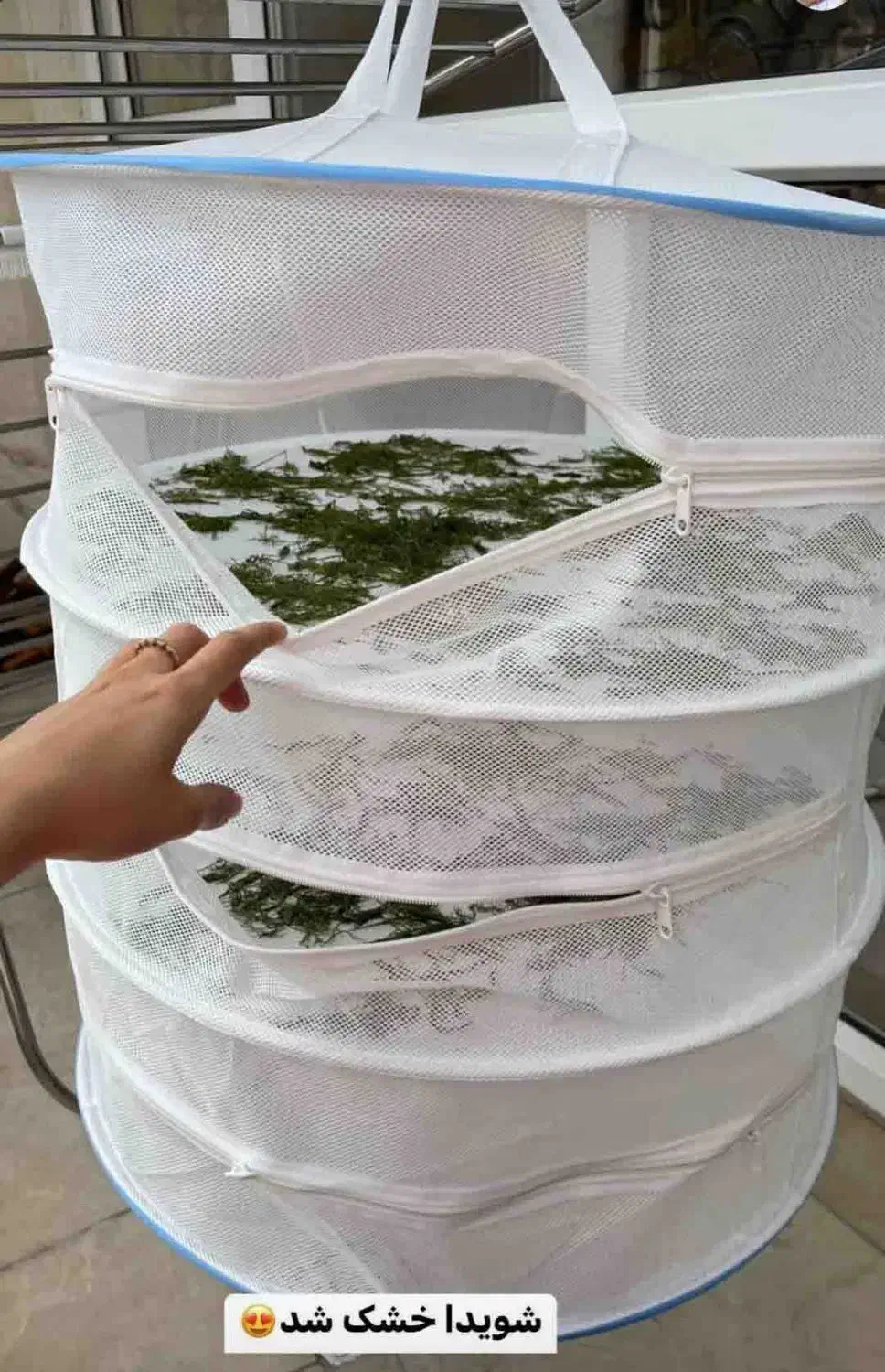 توری خشک کن میوه سبزی|ظروف نگهدارنده، پلاستیکی، یکبارمصرف|زنجان, |دیوار