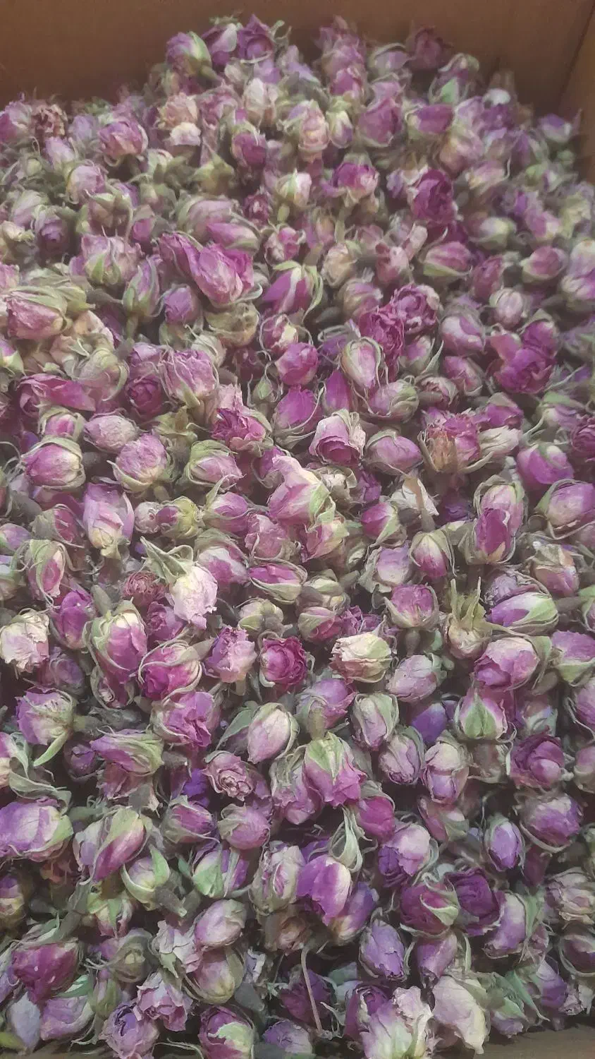 غنچه گل محمدی|خوردنی و آشامیدنی|تهران, توحید|دیوار