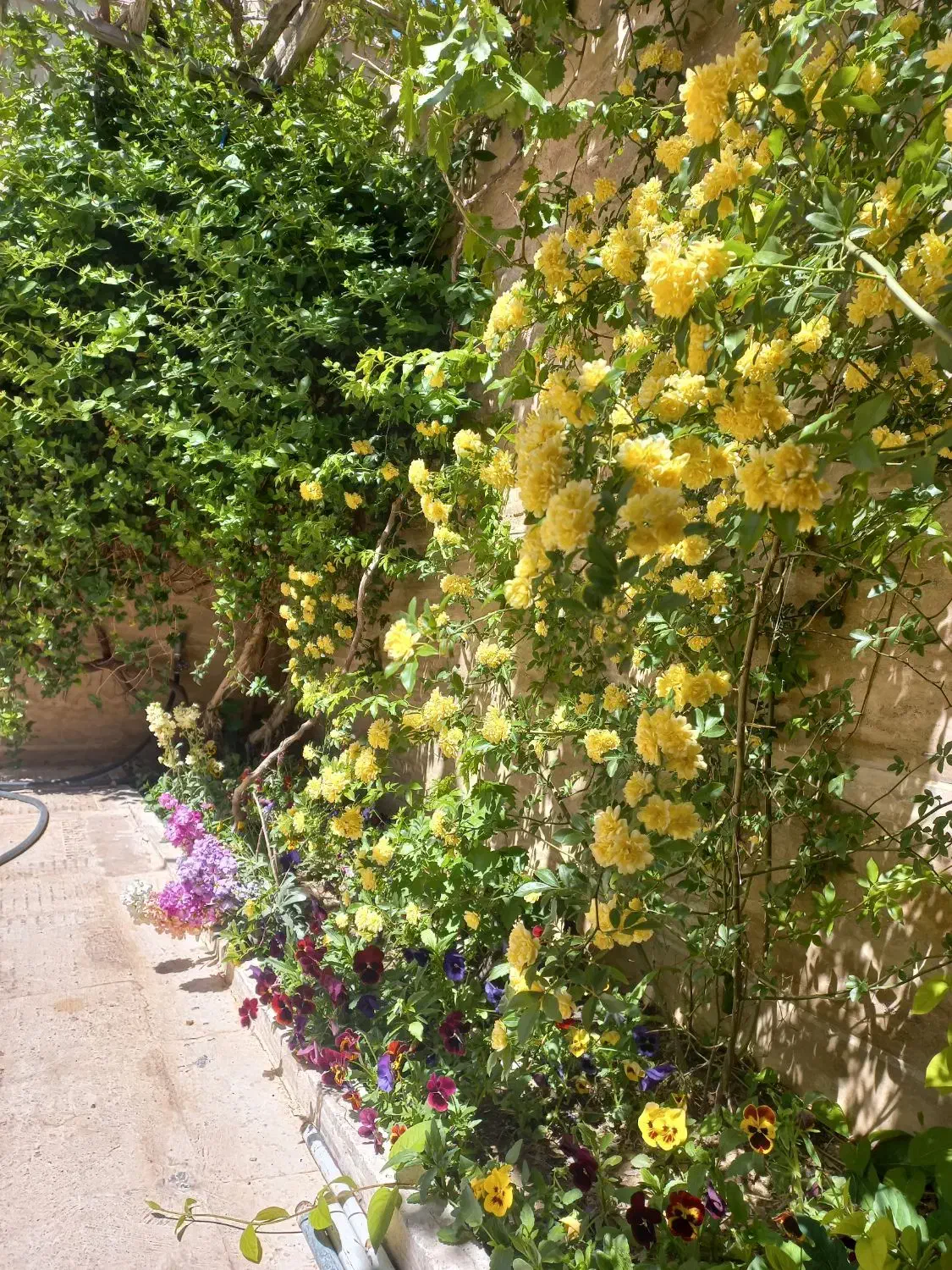 خانه مسافر ،ارزان،امن وارام|اجارهٔ کوتاه‌مدت آپارتمان و سوئیت|محلات, |دیوار