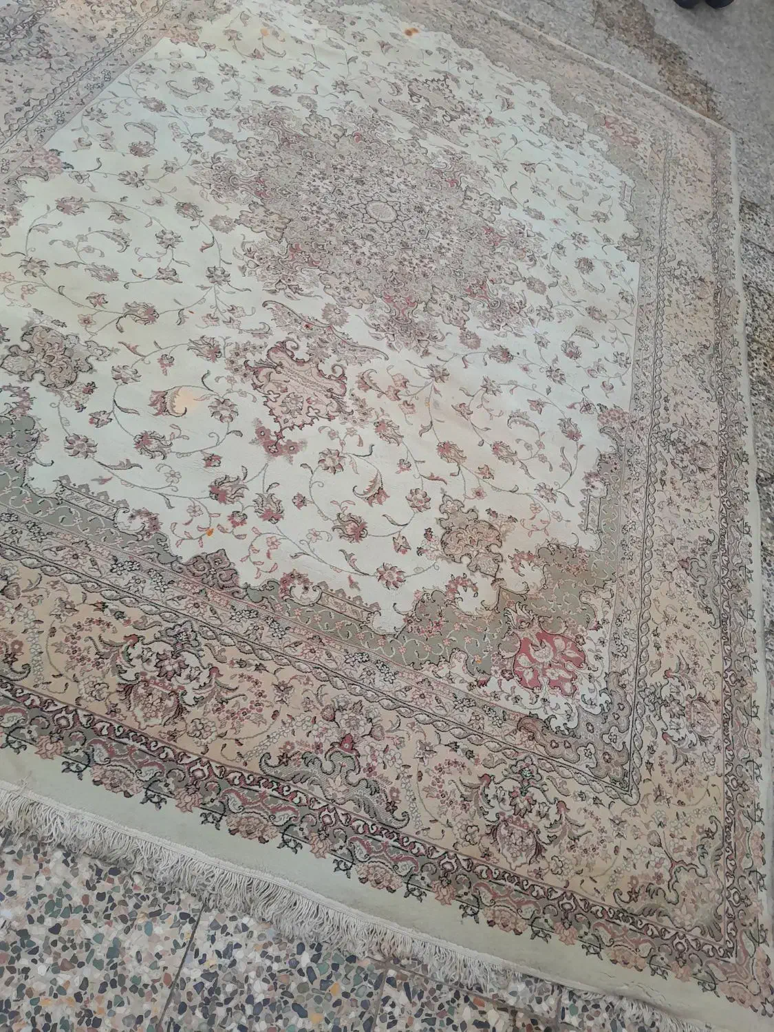 قالی فرش|فرش|شوشتر, |دیوار