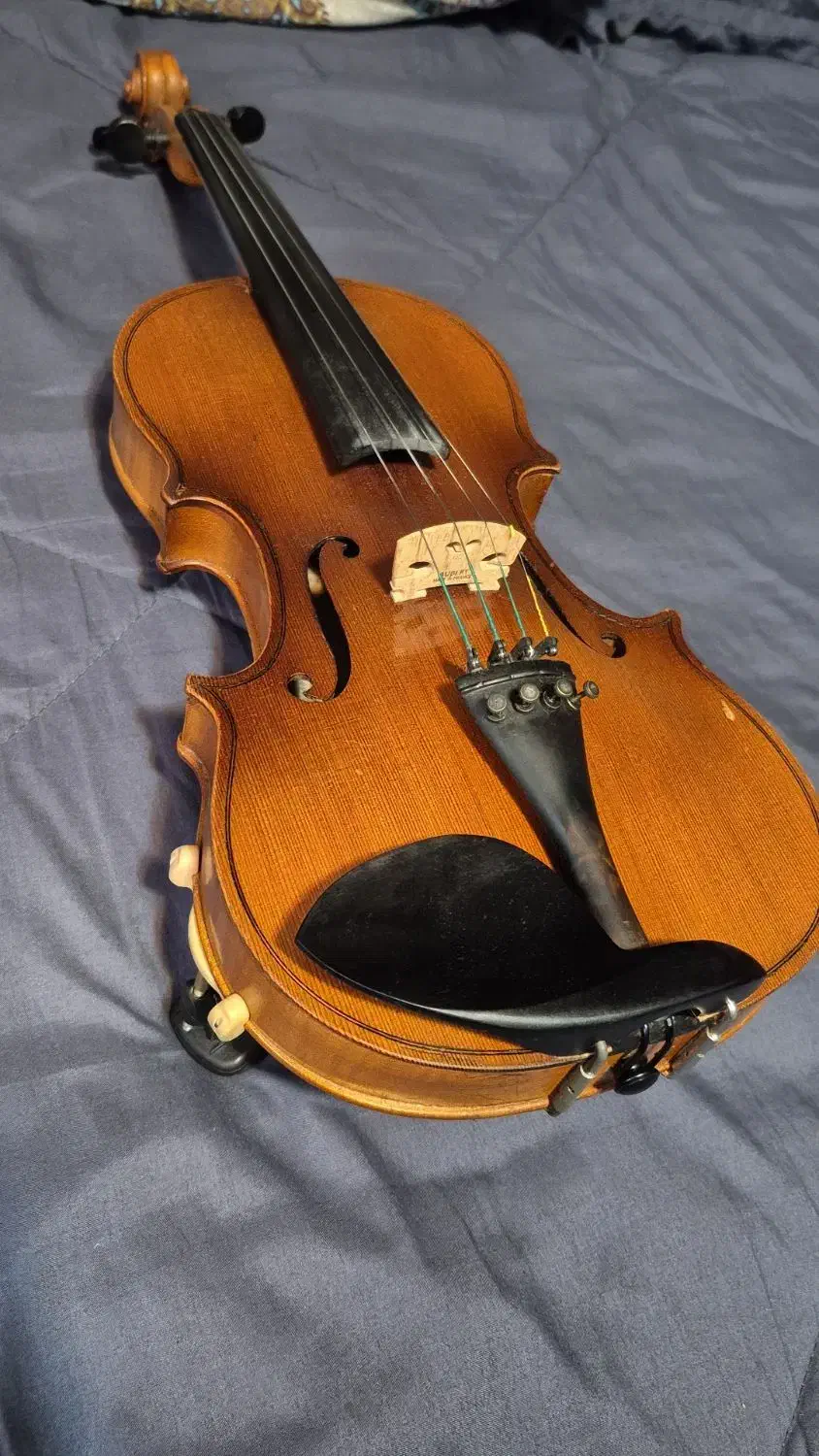 ساز ایتالیایی فراتلی مازی|ویولن|لشت نشا, |دیوار