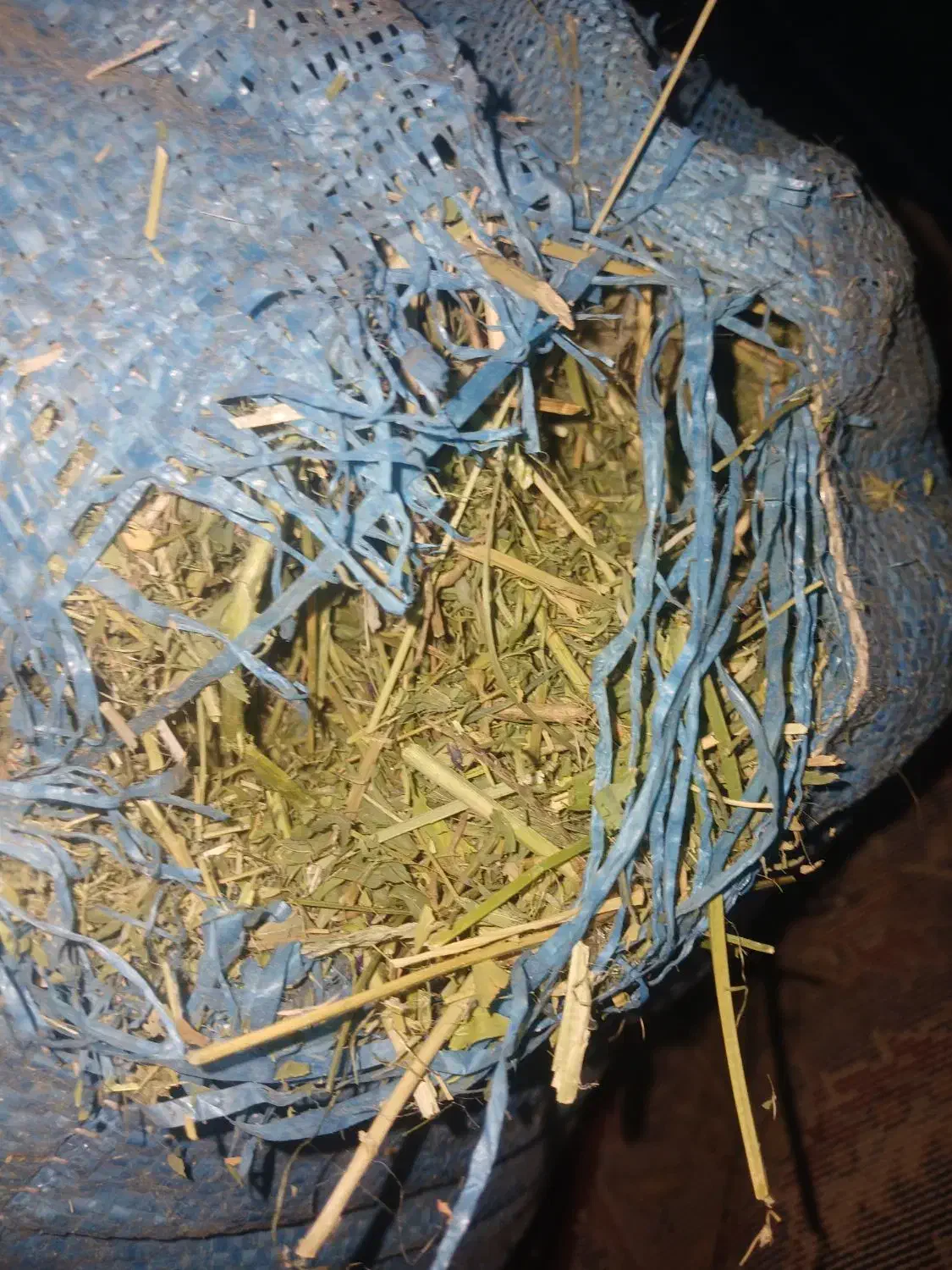 کاه یونجه|لوازم جانبی حیوانات|بروجرد, |دیوار