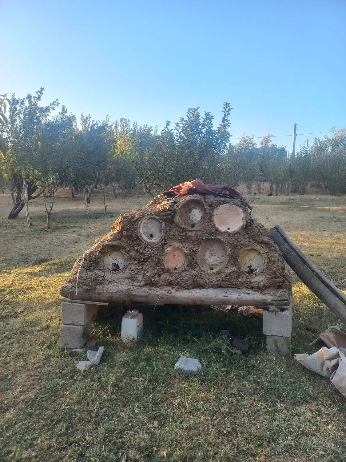 کندوی زنبور|لوازم جانبی حیوانات|نظر کهریزی, |دیوار