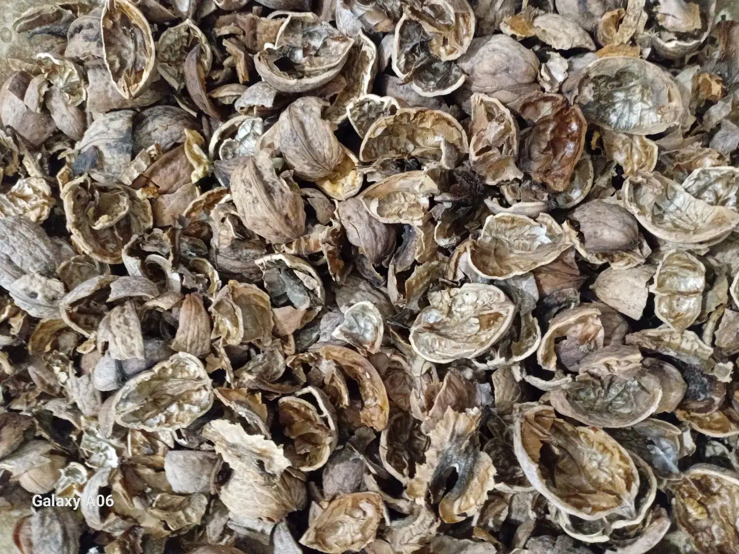 خرید پوست گردو|خدمات پیشه و مهارت|آذرشهر, |دیوار