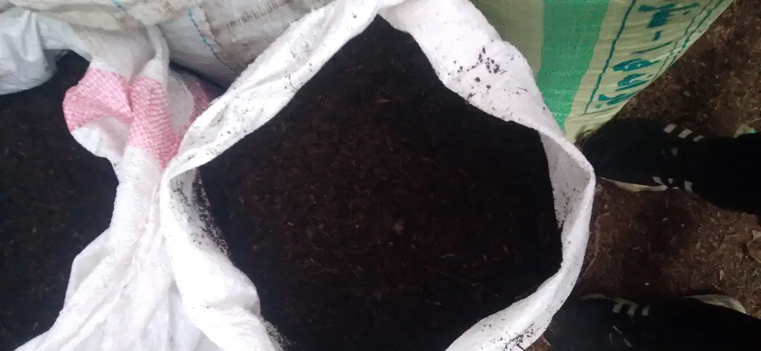 کود گاوی|خدمات باغبانی و درختکاری|فومن, |دیوار