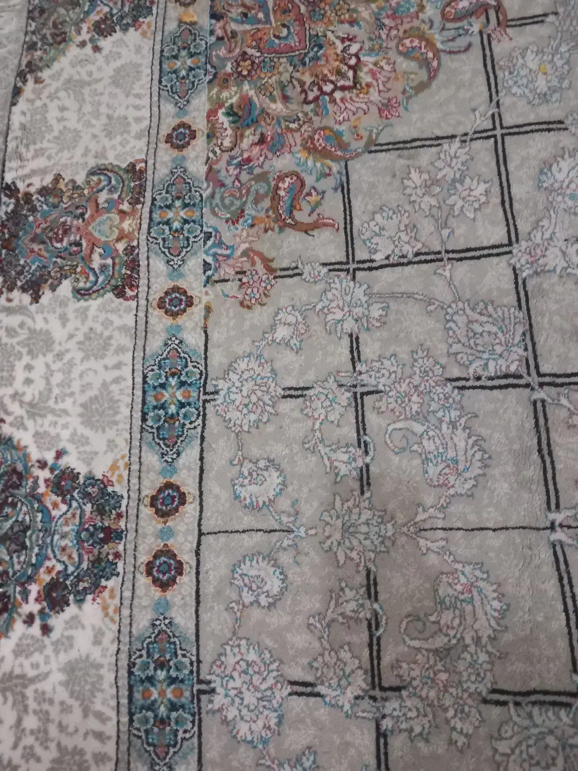 فرش در حدنو|فرش|بندرعباس, |دیوار