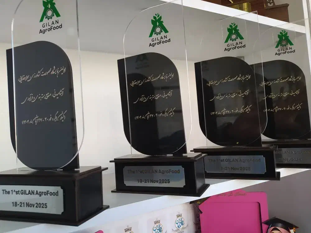 تندیس اختصاصی پلکسی چوبی|مجسمه، تندیس، ماکت|تهران, بلوار کشاورز|دیوار