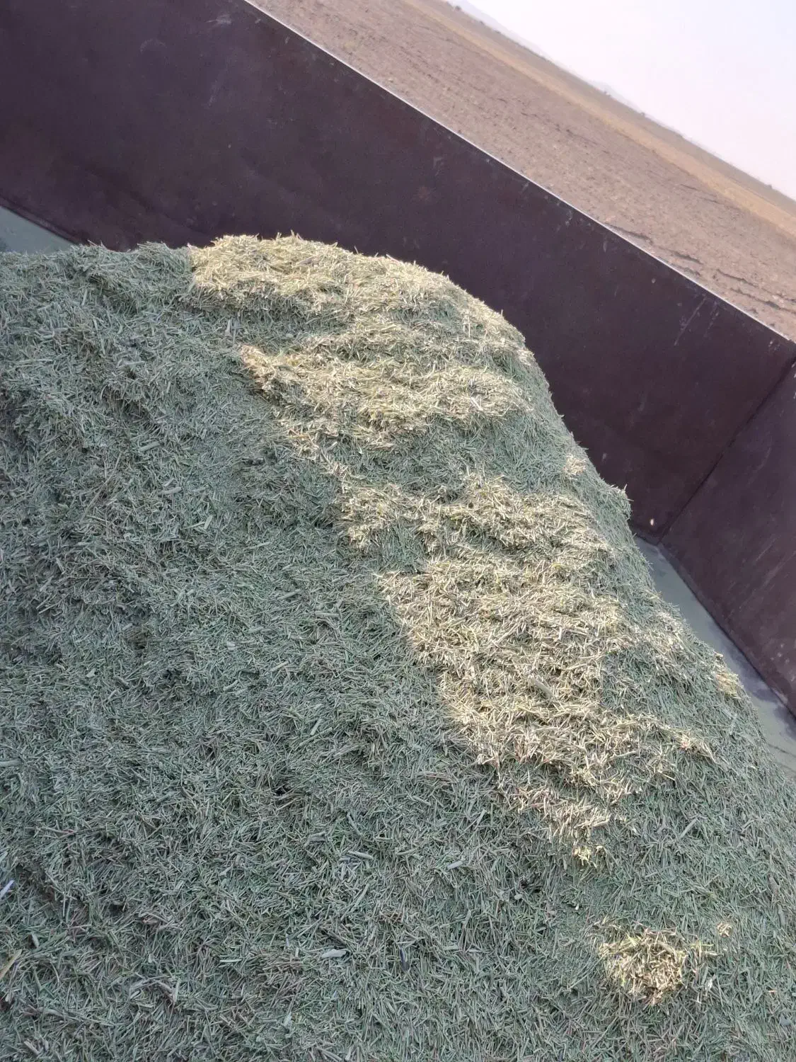 کاه خارشتر|حیوانات مزرعه|همدان, |دیوار