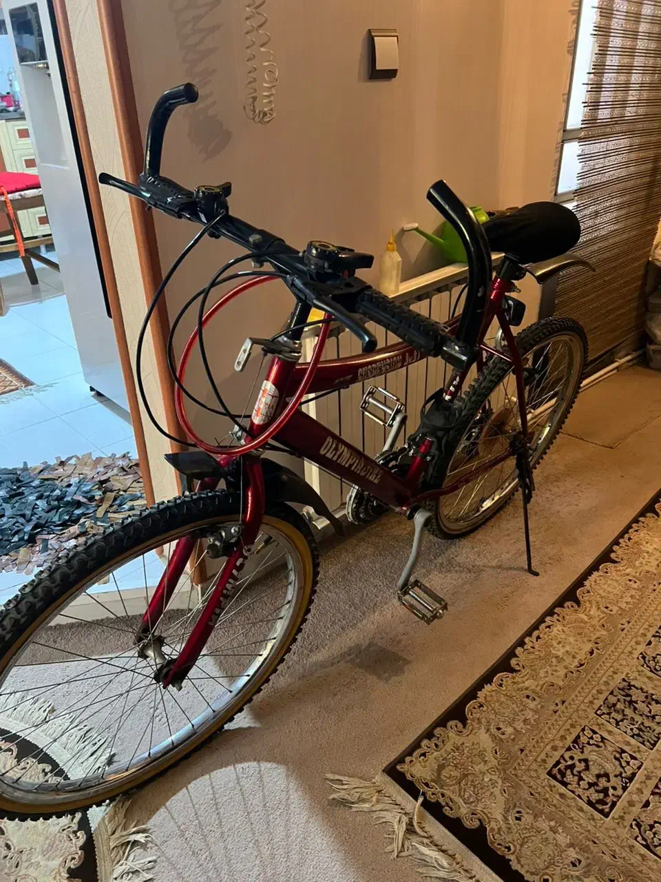 دوچرخه|دوچرخه، اسکیت، اسکوتر|تهران, شهرک آزمایش|دیوار