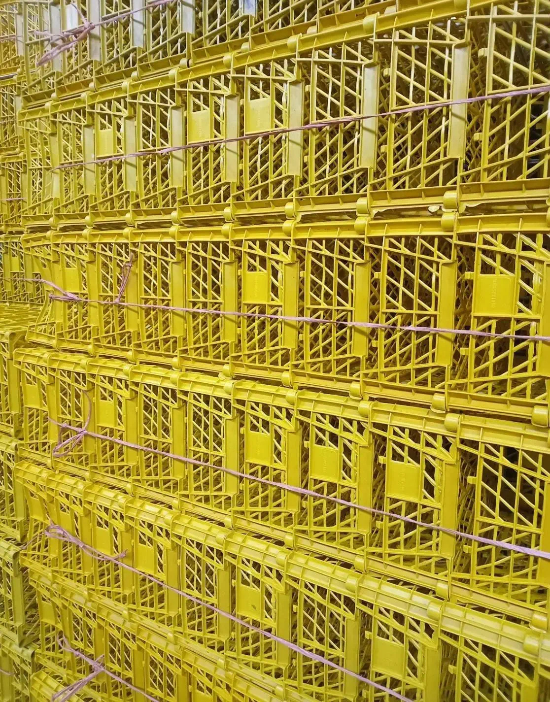 سبد ۴ کیلویی|عمده‌فروشی|آستارا, |دیوار