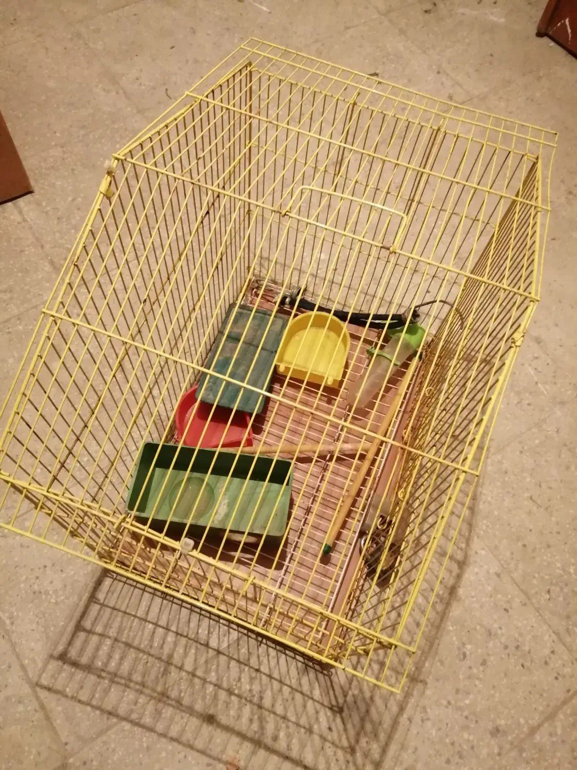 سالم در حد|لوازم جانبی حیوانات|تهران, دانشگاه شریف|دیوار