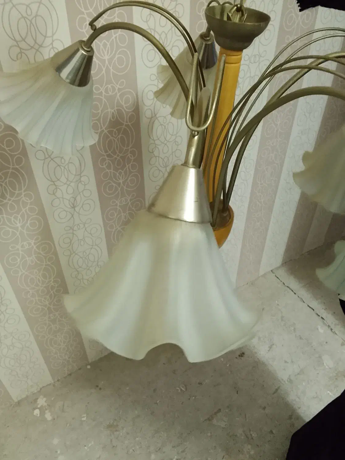 لوسترواباژور شیک|لوستر و چراغ آویز|اردبیل, |دیوار