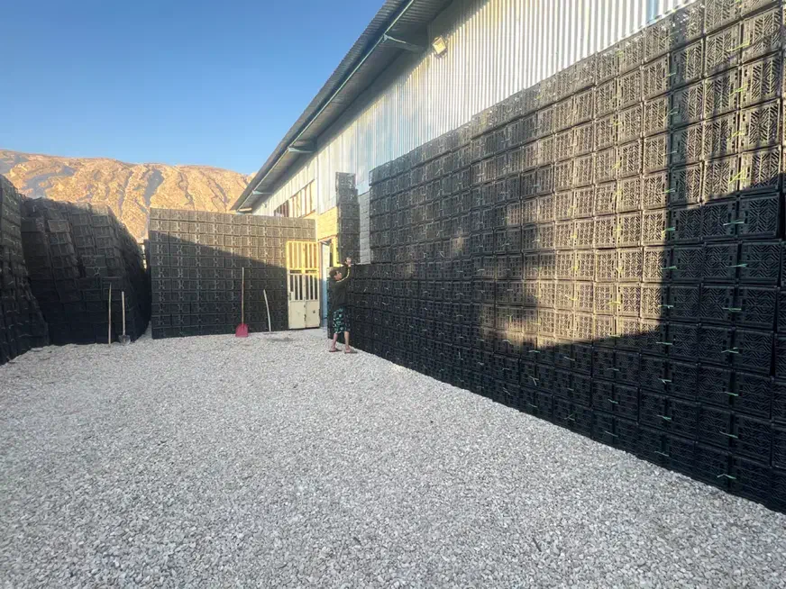 سبد میوه و تره بار|ظروف نگهدارنده، پلاستیکی، یکبارمصرف|فیروزآباد (فارس), |دیوار