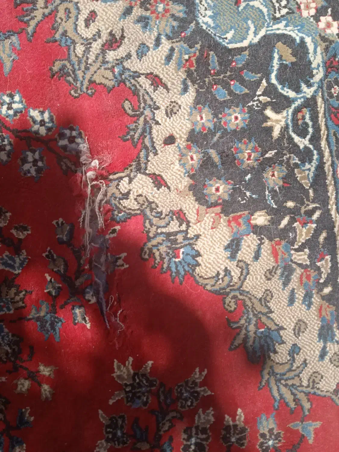 مبل وفرش کارکرده|فرش|شیراز, دارالرحمه|دیوار