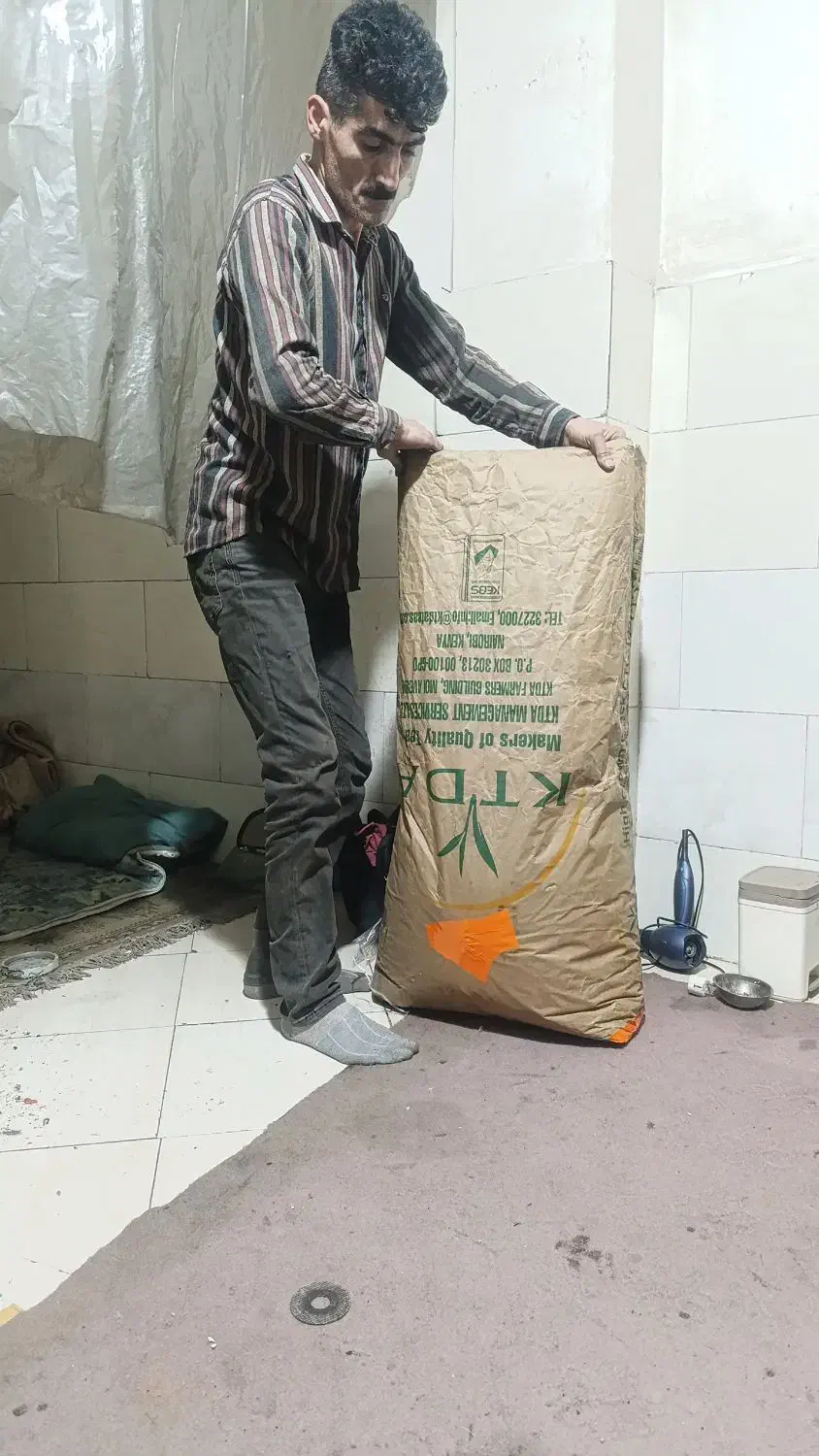 چای|خوردنی و آشامیدنی|بندرعباس, |دیوار