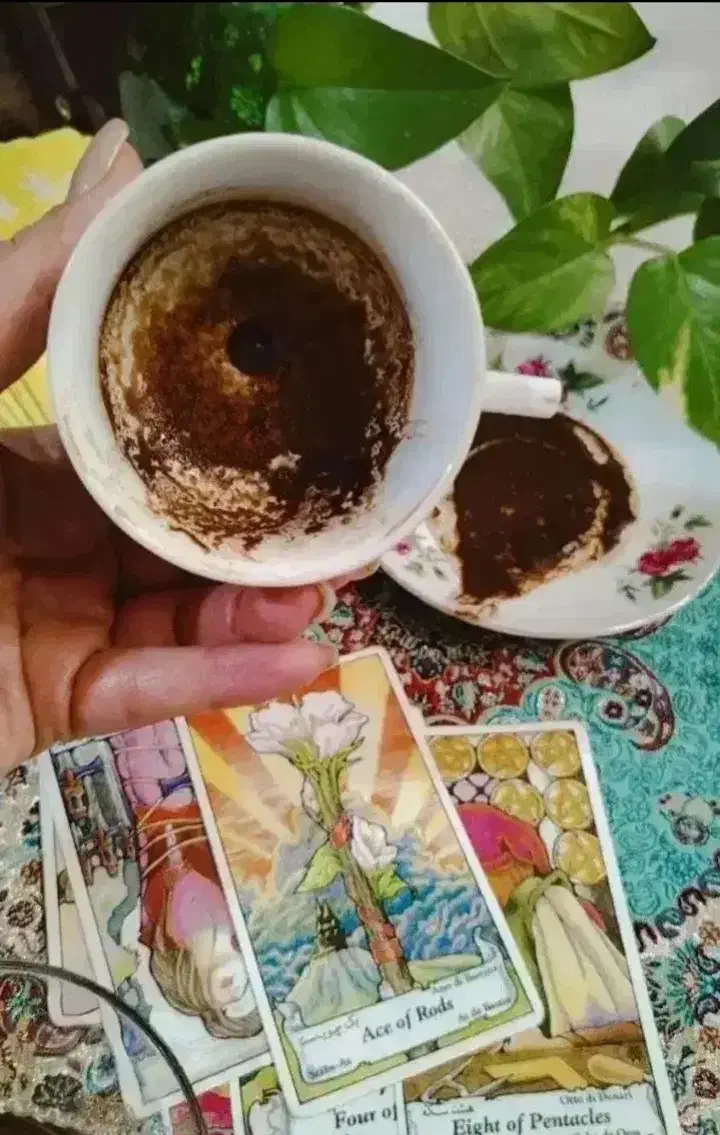 فال قهوه تاروت موکل/تخصصی/تضمینی/تکمیلی/حرفه ای|خدمات پذیرایی، مراسم|ارومیه, |دیوار