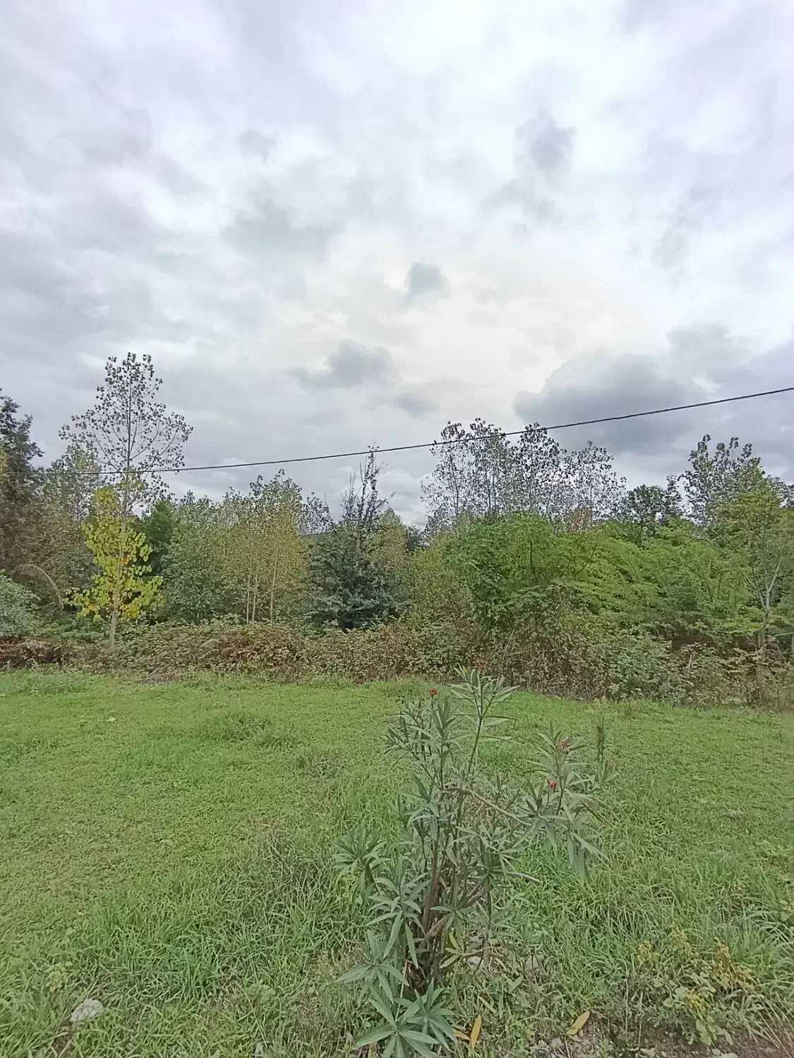 فروش زمین ۷۲۰متر سند تک برگ مسکونی زیر قیمت منطقه|فروش زمین و ملک کلنگی|رشت, بازار|دیوار