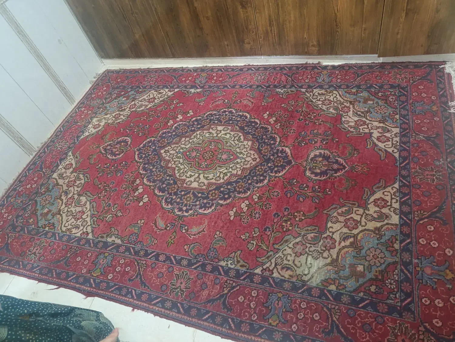 قالی کرمانی|فرش|کرمان, |دیوار