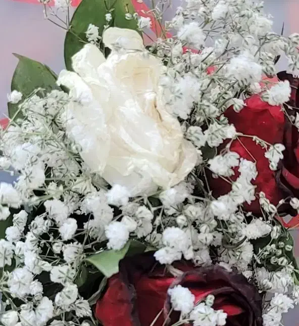 خ ر ی د ا ر و ا م ا ز د و ا ج|خدمات مالی، حسابداری، بیمه|بم, |دیوار