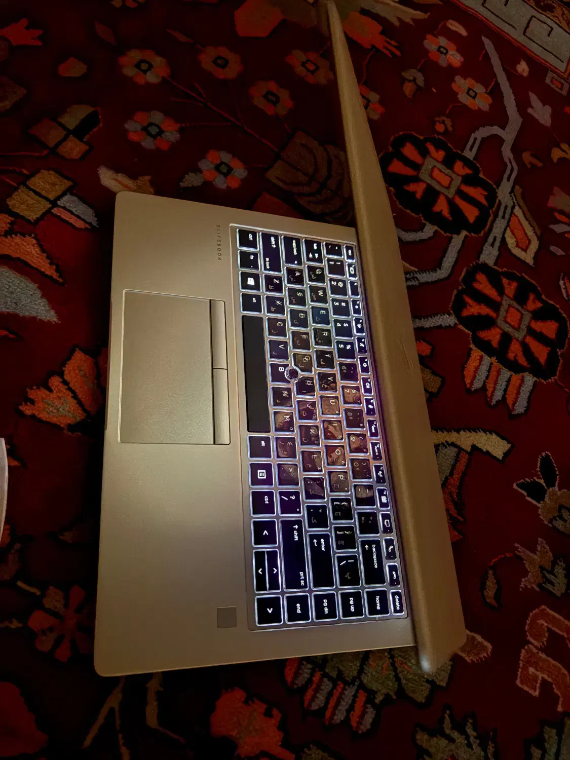 Hp elitebook 745 G6|رایانه همراه|تبریز, |دیوار