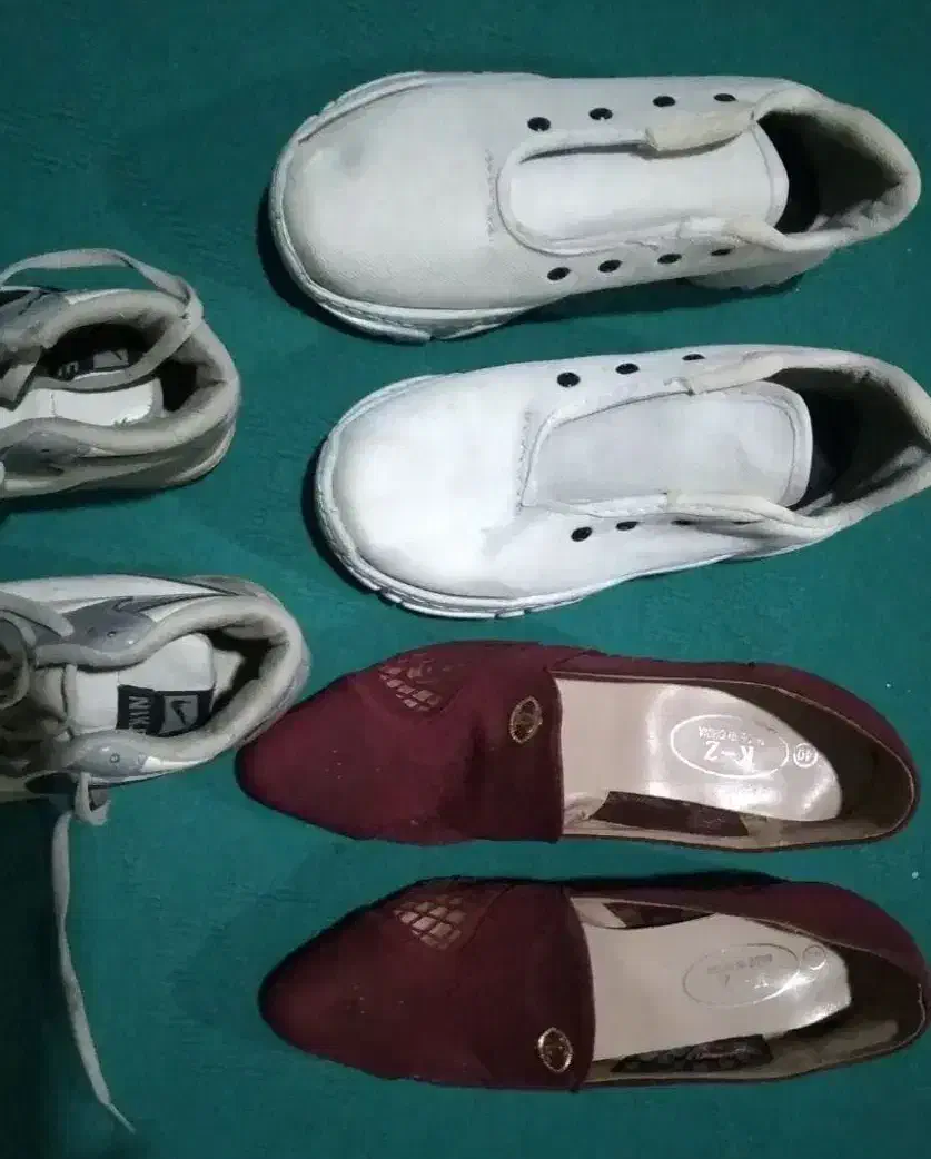 کفش نو|کیف، کفش، کمربند|اهواز, شهرک دانشگاه|دیوار