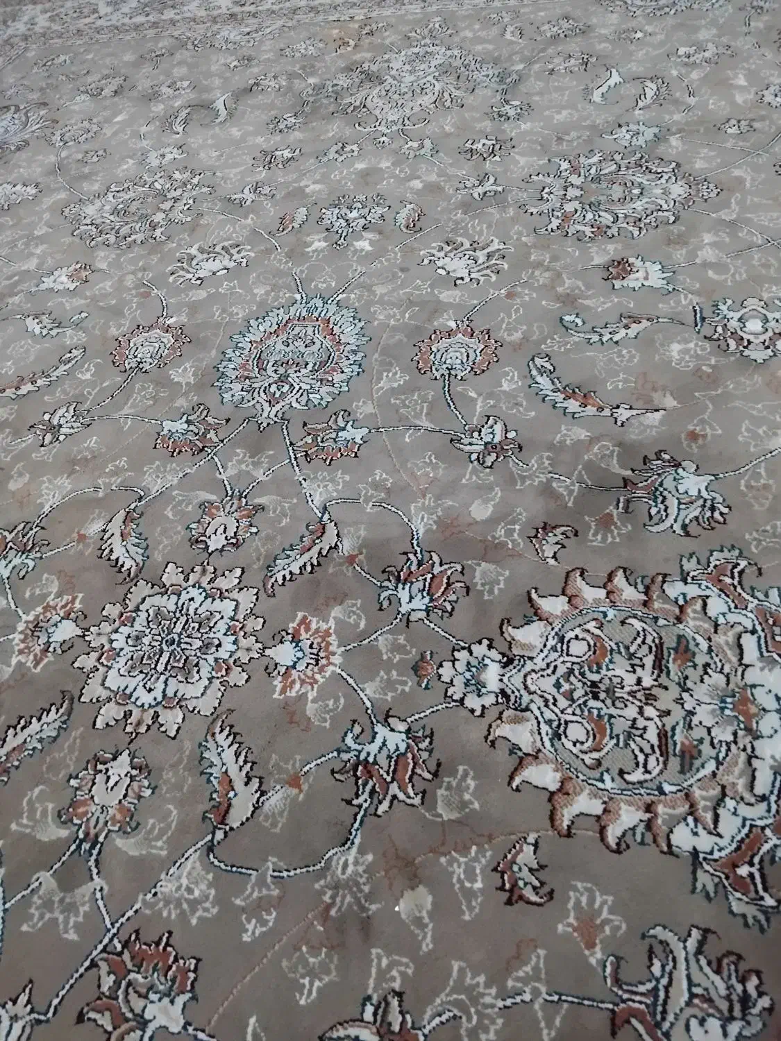 سه عدد فرش گردویی‌ دوازده متری|فرش|رباط‌کریم, رباط‌کریم|دیوار