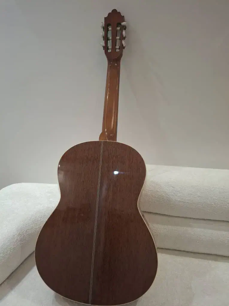 گیتار|گیتار، بیس، امپلیفایر|تهران, جیحون|دیوار