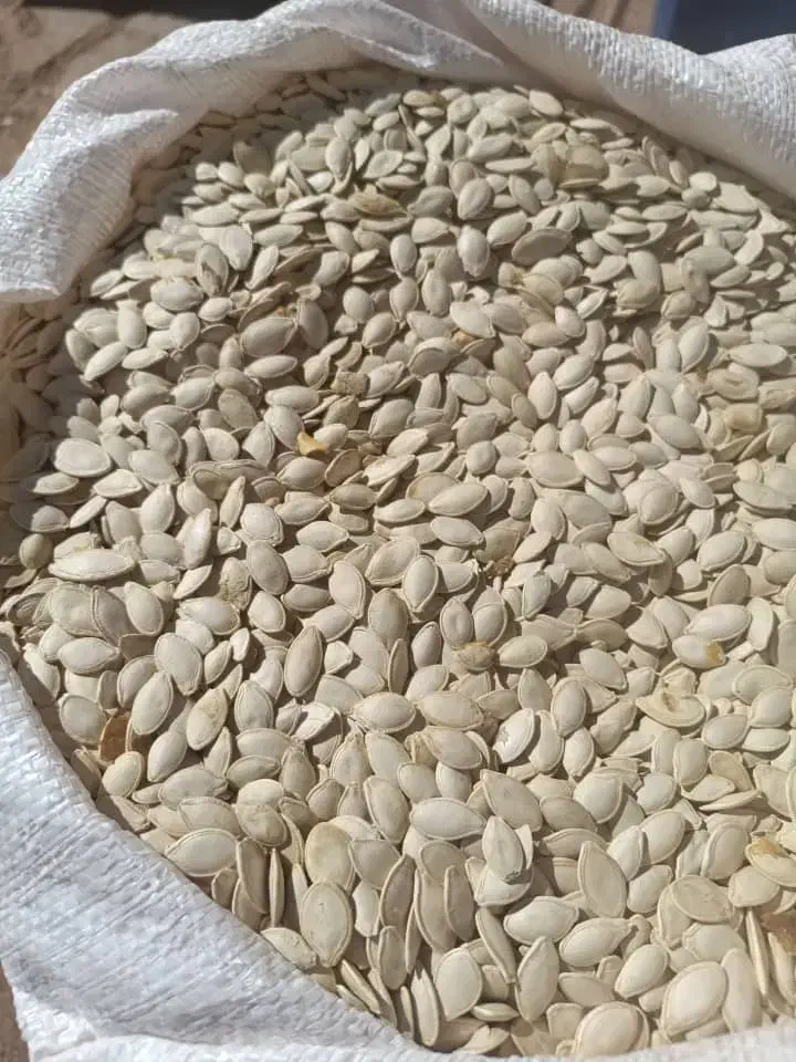 خرید وفروش تخم کدو گوشتی|خوردنی و آشامیدنی|تهران, جلیلی|دیوار