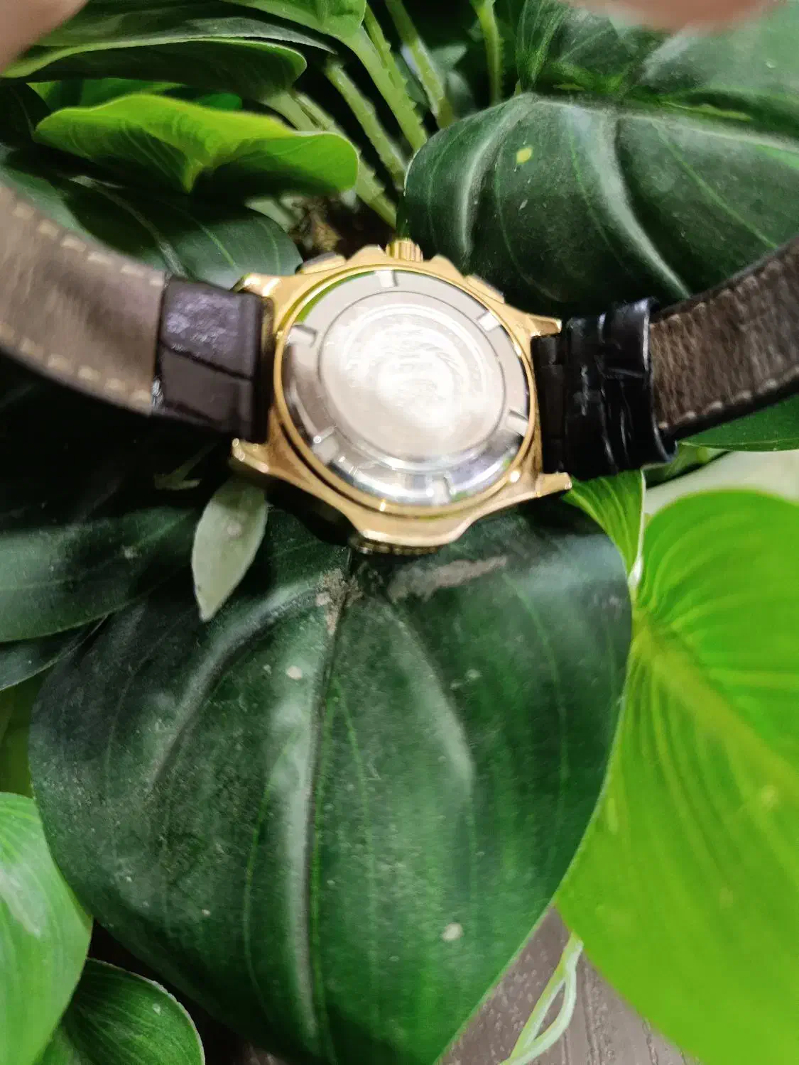 ساعت مچی ویولت اصلی زنانه|ساعت|تهران, باغ خزانه|دیوار