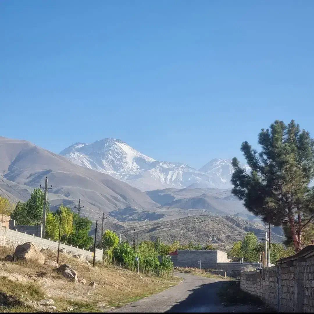 فروش آب معدنی با برند یاشناسو|خوردنی و آشامیدنی|تهران, مولوی|دیوار