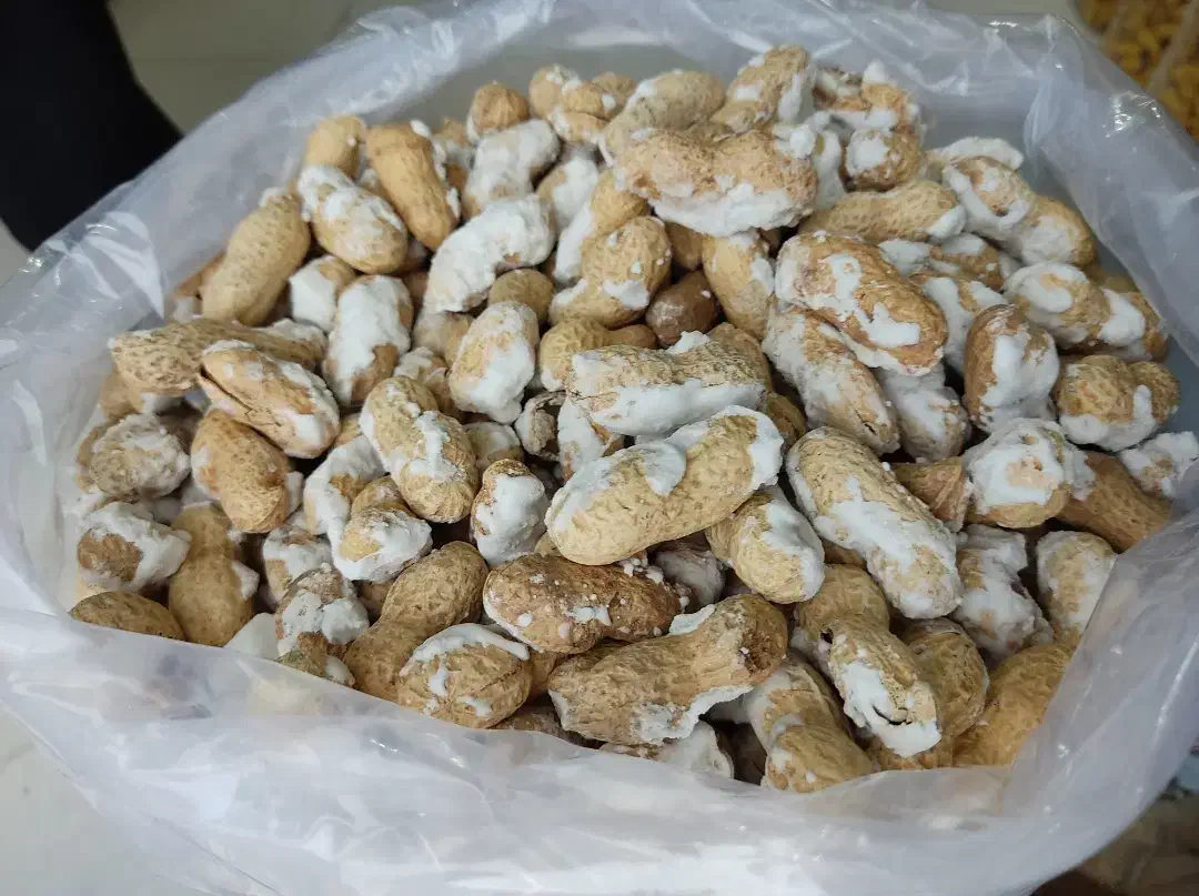 بادام زمینی فروش عمده|عمده‌فروشی|بوکان, |دیوار