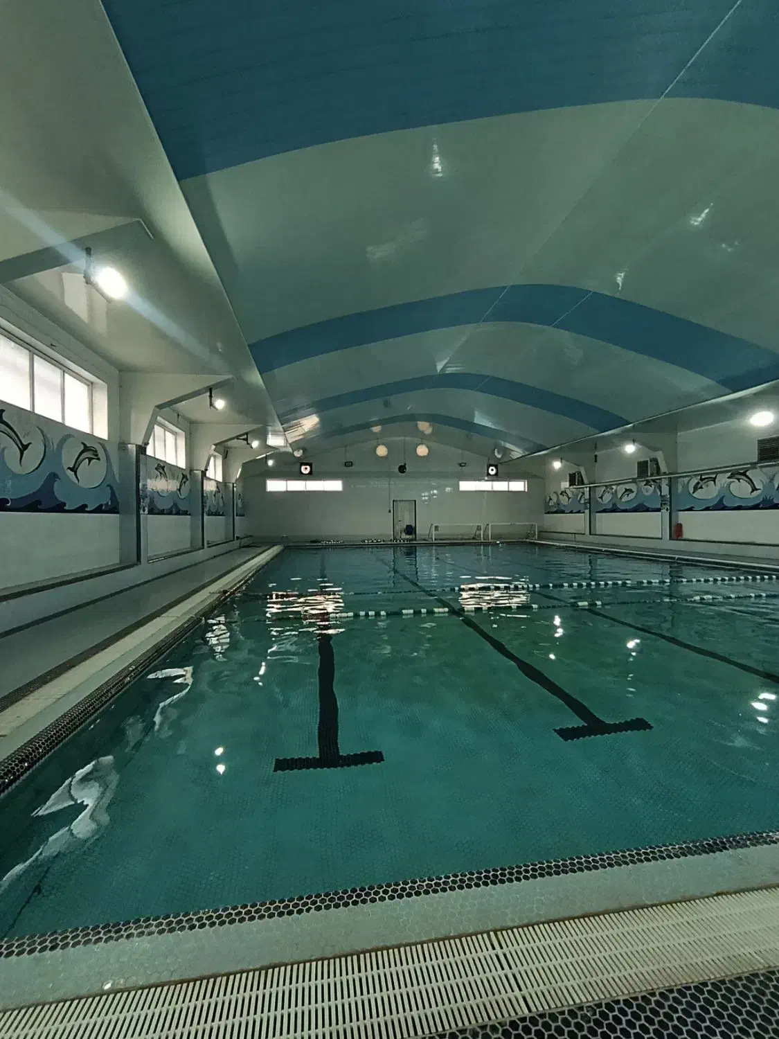 آموزش تخصصی شنا، مبتدی و پیشرفته، استخر|خدمات آموزشی|رشت, خبرنگار|دیوار