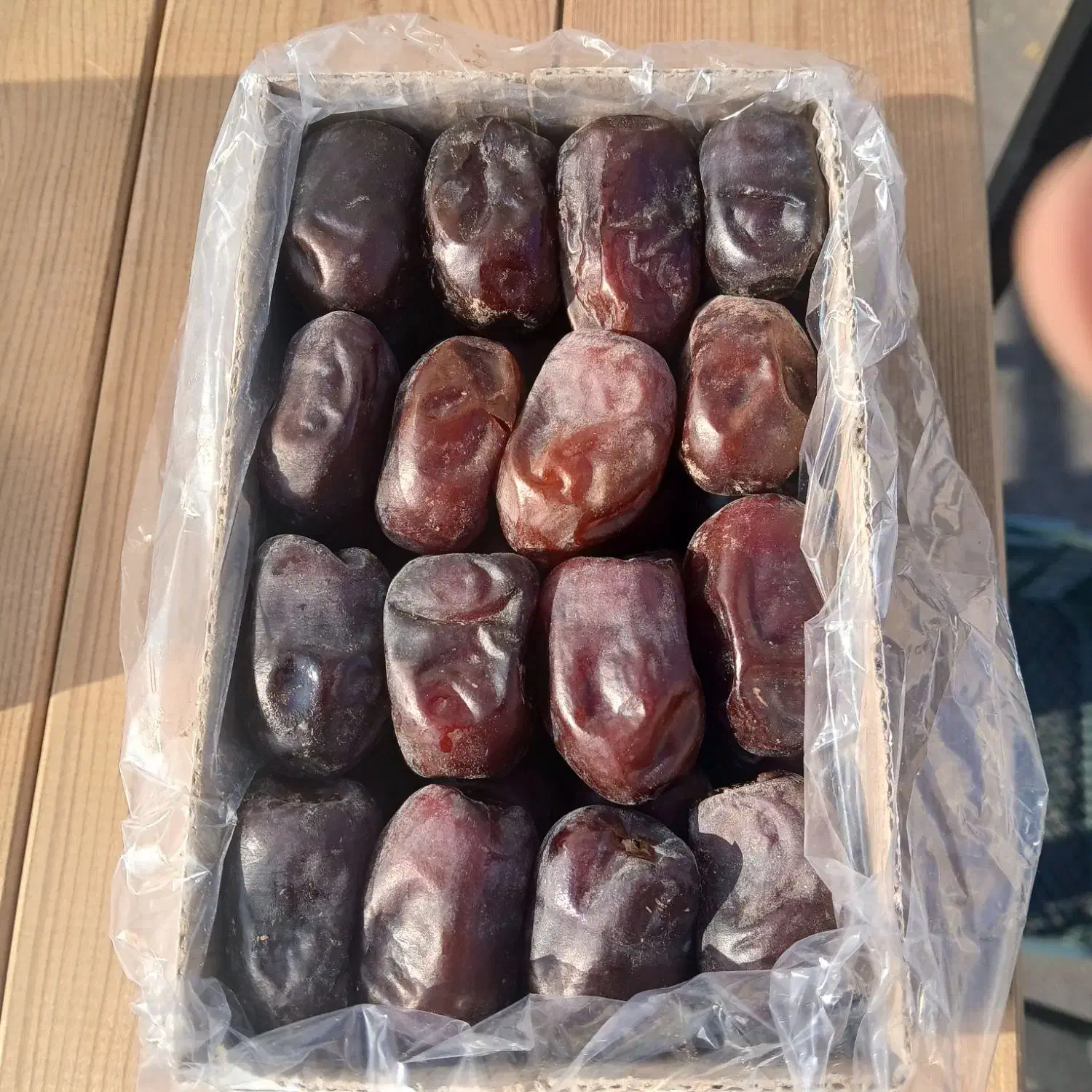 خرمای تازه بلبل|خوردنی و آشامیدنی|گرمسار, |دیوار