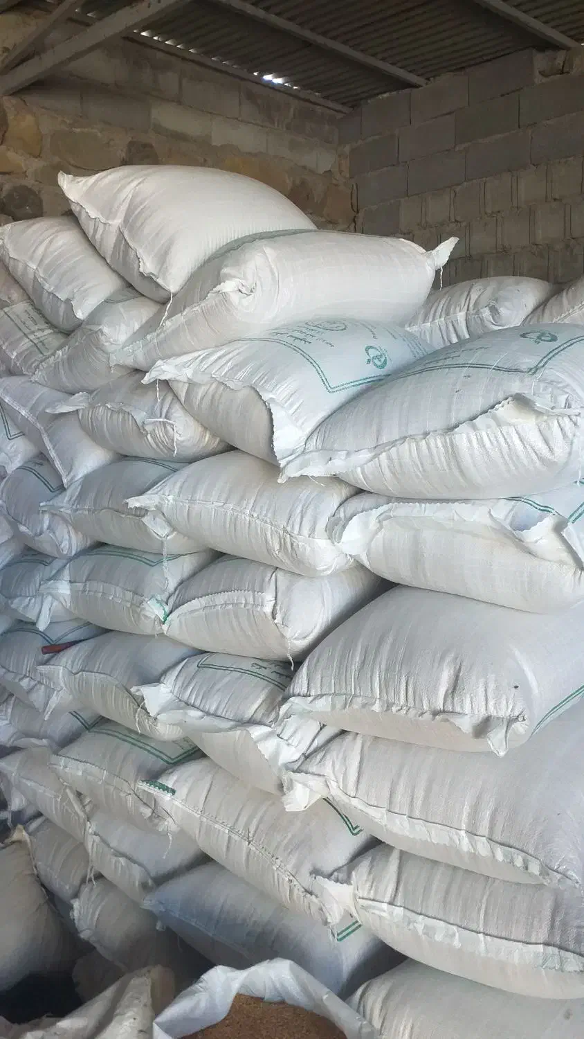 گندم کوهدشت بوجاری شده|لوازم جانبی حیوانات|انگوت, |دیوار