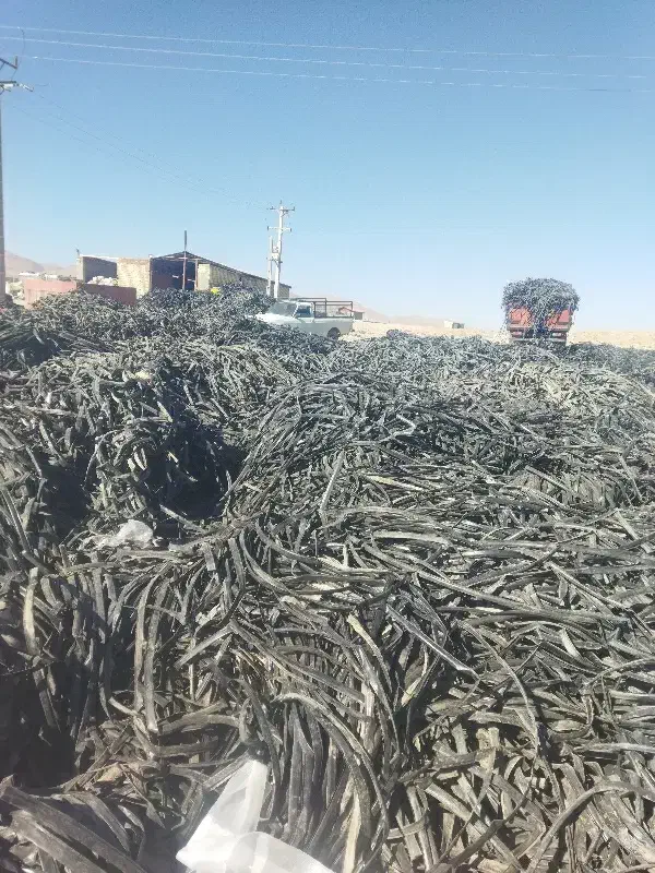 خرید و فروش نوار تیپ نوار قطره ای|عمده‌فروشی|سنندج, |دیوار