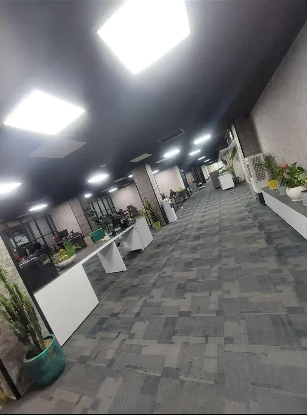 موکت اداری و غرفه نمایشگاه|موکت|نسیمشهر, |دیوار