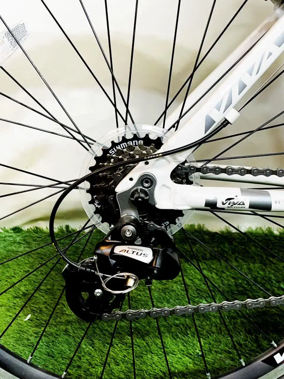 دوچرخه VIVA بدنه آلومینیوم/تجهیزات شیمانو|دوچرخه، اسکیت، اسکوتر|گنبد کاووس, |دیوار