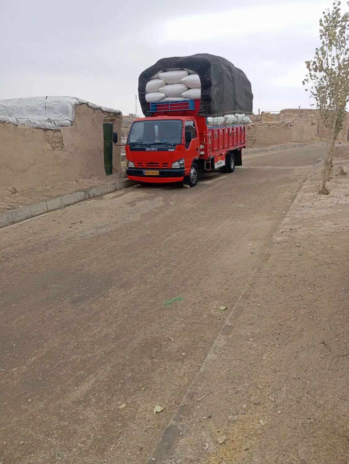 فروش کاه نرم|عمدهفروشی|دیواندره, |دیوار