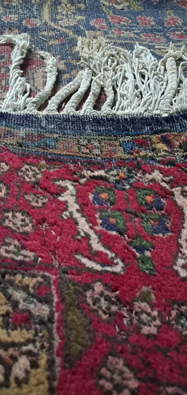 فرش دستبافت قدیمی|فرش|بابل, |دیوار